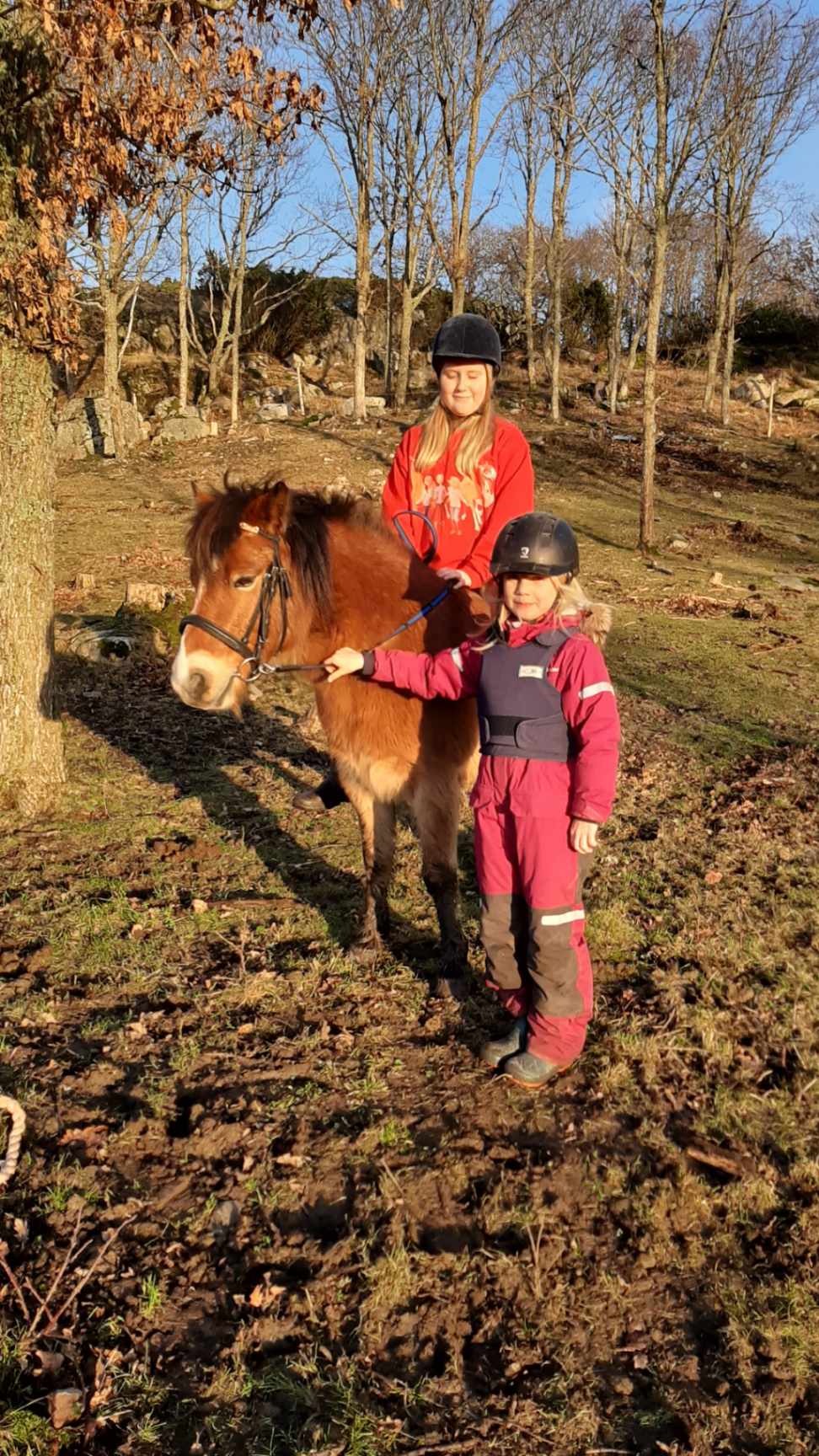 Bild på Elvira som rider på russet Clarius
